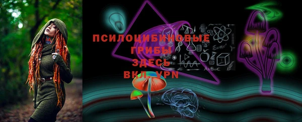 MDMA Карпинск