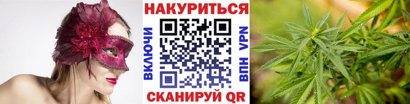 Купить где  Майкоп  Канабис Amnesia 